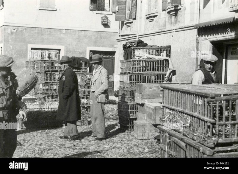 Immagine: Scopri l'Origine di Chicken Road: il Gioco di Casinò Italiano più Segreto